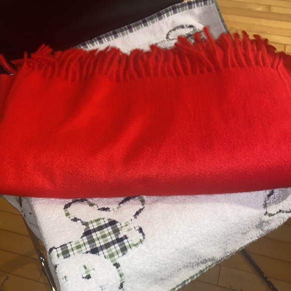 🌟Host Pick🌟 Sky Cashmere shawl - Picture 2 of 7